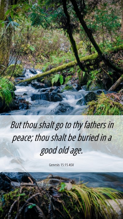 Picture 06 - Genesis 15:15 ASV Mobile Phone Wallpaper - But thou shalt go to thy fathers in peace; thou - Mobile Bible Verse Wallpaper