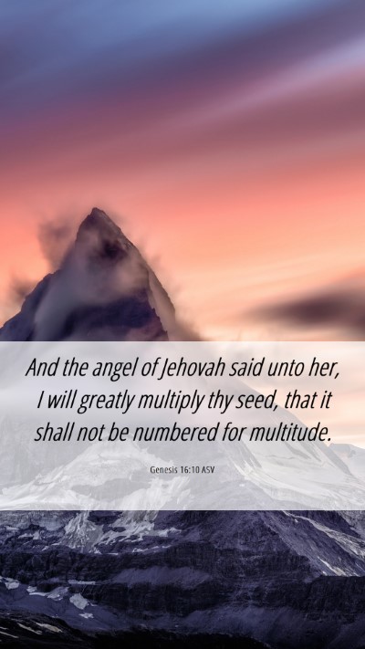 Picture 06 - Genesis 16:10 ASV Mobile Phone Wallpaper - And the angel of Jehovah said unto her, I will - Mobile Bible Verse Wallpaper