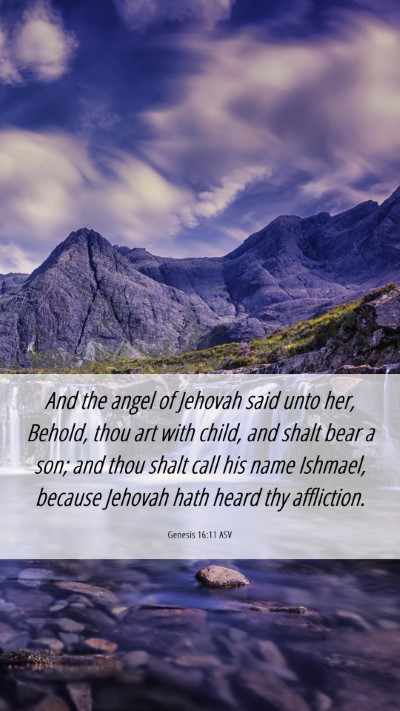 Picture 06 - Genesis 16:11 ASV Mobile Phone Wallpaper - And the angel of Jehovah said unto her, Behold, - Mobile Bible Verse Wallpaper