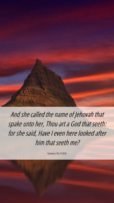 Picture 06 - Genesis 16:13 ASV Mobile Phone Wallpaper - And she called the name of Jehovah that spake - Mobile Bible Verse Wallpaper