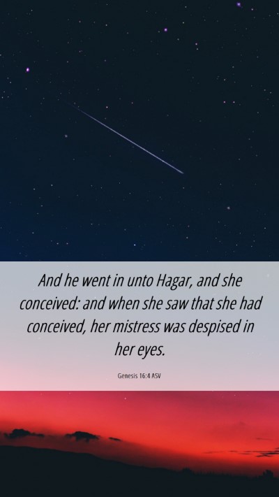 Picture 06 - Genesis 16:4 ASV Mobile Phone Wallpaper - And he went in unto Hagar, and she conceived: and - Mobile Bible Verse Wallpaper