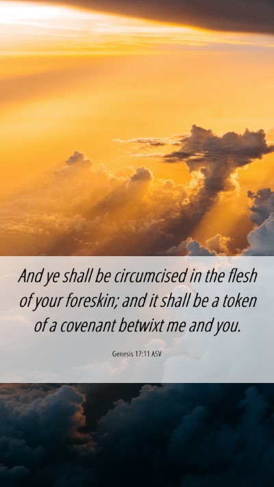 Picture 06 - Genesis 17:11 ASV Mobile Phone Wallpaper - And ye shall be circumcised in the flesh of your - Mobile Bible Verse Wallpaper