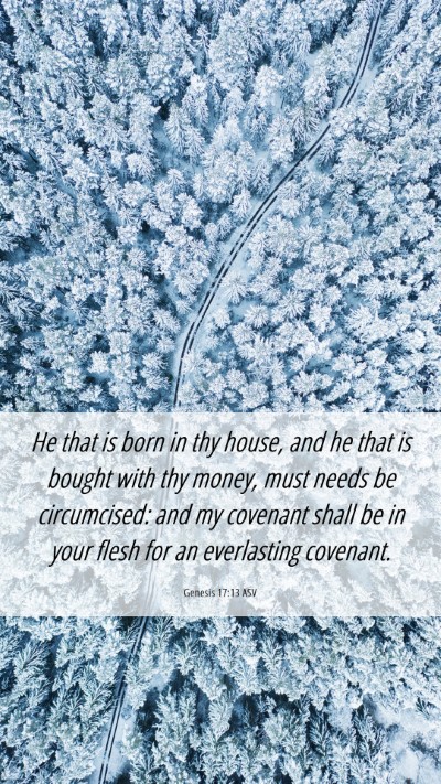 Picture 06 - Genesis 17:13 ASV Mobile Phone Wallpaper - He that is born in thy house, and he that is - Mobile Bible Verse Wallpaper