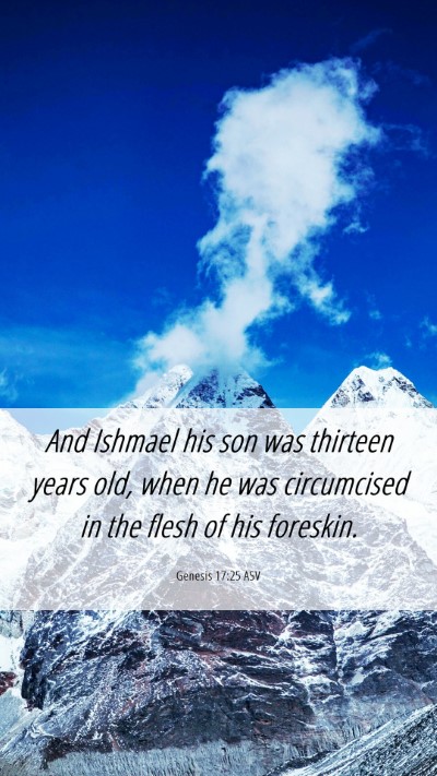 Picture 06 - Genesis 17:25 ASV Mobile Phone Wallpaper - And Ishmael his son was thirteen years old, when - Mobile Bible Verse Wallpaper