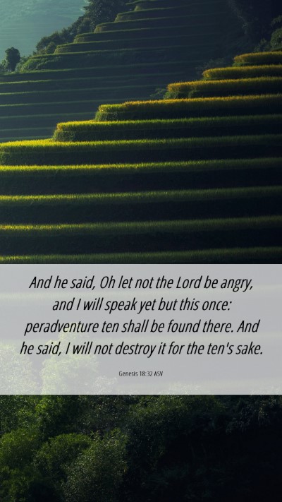 Picture 06 - Genesis 18:32 ASV Mobile Phone Wallpaper - And he said, Oh let not the Lord be angry, and I - Mobile Bible Verse Wallpaper