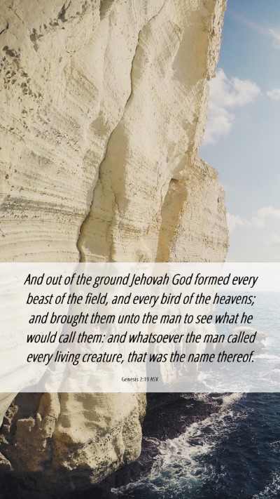 Picture 06 - Genesis 2:19 ASV Mobile Phone Wallpaper - And out of the ground Jehovah God formed every - Mobile Bible Verse Wallpaper