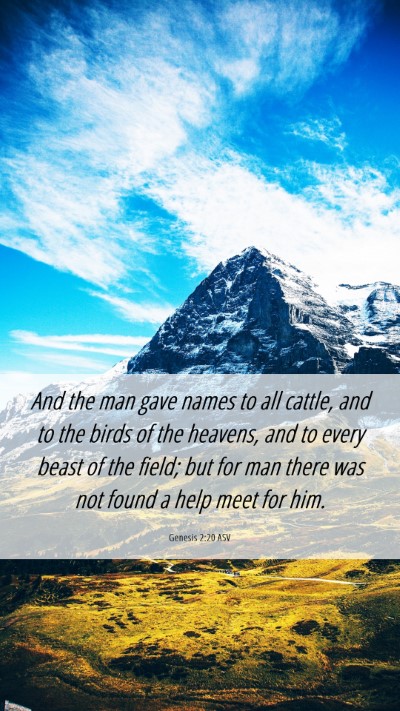 Picture 06 - Genesis 2:20 ASV Mobile Phone Wallpaper - And the man gave names to all cattle, and to the - Mobile Bible Verse Wallpaper