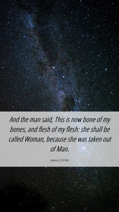 Picture 06 - Genesis 2:23 ASV Mobile Phone Wallpaper - And the man said, This is now bone of my bones, - Mobile Bible Verse Wallpaper