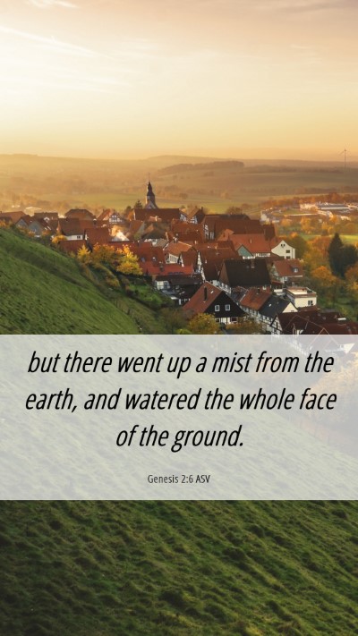 Picture 06 - Genesis 2:6 ASV Mobile Phone Wallpaper - but there went up a mist from the earth, and - Mobile Bible Verse Wallpaper