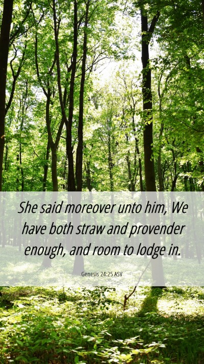 Picture 06 - Genesis 24:25 ASV Mobile Phone Wallpaper - She said moreover unto him, We have both straw - Mobile Bible Verse Wallpaper