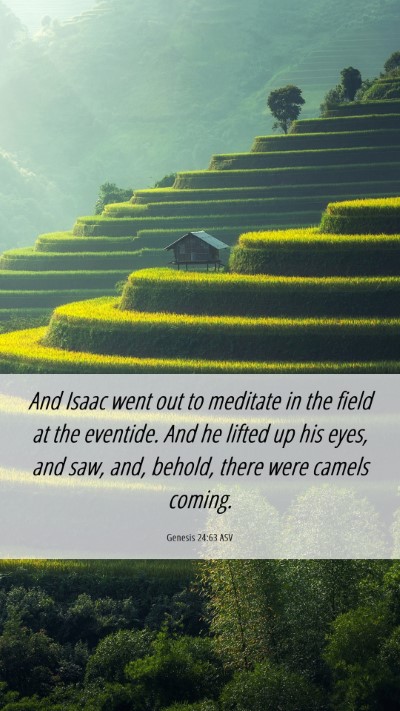 Picture 06 - Genesis 24:63 ASV Mobile Phone Wallpaper - And Isaac went out to meditate in the field at - Mobile Bible Verse Wallpaper