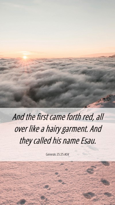 Picture 06 - Genesis 25:25 ASV Mobile Phone Wallpaper - And the first came forth red, all over like a - Mobile Bible Verse Wallpaper