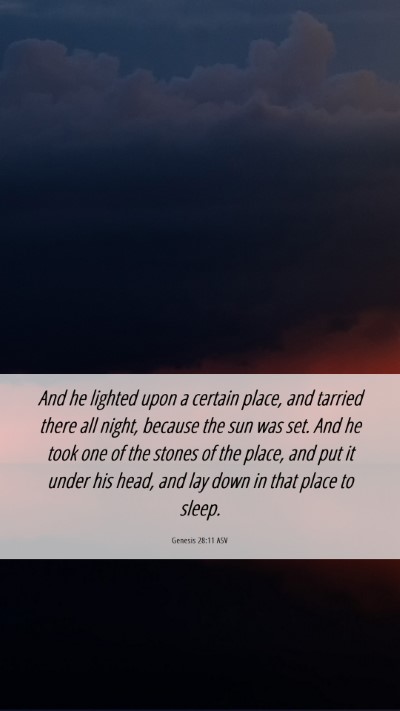 Picture 06 - Genesis 28:11 ASV Mobile Phone Wallpaper - And he lighted upon a certain place, and tarried - Mobile Bible Verse Wallpaper