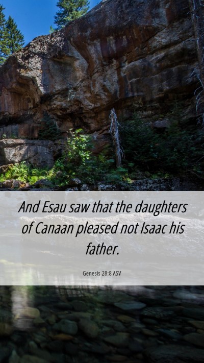 Picture 06 - Genesis 28:8 ASV Mobile Phone Wallpaper - And Esau saw that the daughters of Canaan pleased - Mobile Bible Verse Wallpaper