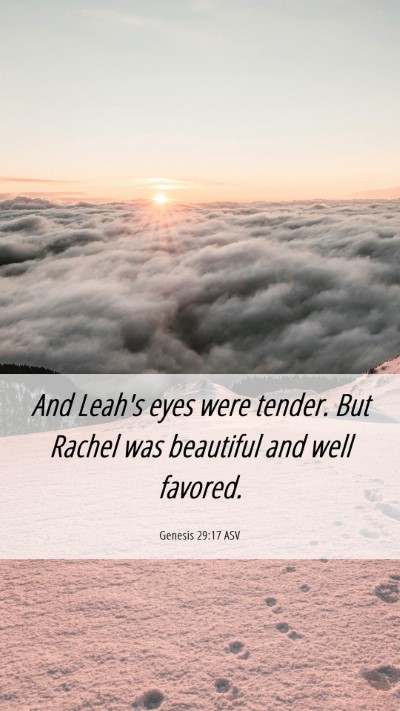 Picture 06 - Genesis 29:17 ASV Mobile Phone Wallpaper - And Leah's eyes were tender. But Rachel was - Mobile Bible Verse Wallpaper