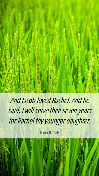 Picture 06 - Genesis 29:18 ASV Mobile Phone Wallpaper - And Jacob loved Rachel. And he said, I will serve - Mobile Bible Verse Wallpaper