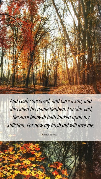 Picture 06 - Genesis 29:32 ASV Mobile Phone Wallpaper - And Leah conceived, and bare a son, and she - Mobile Bible Verse Wallpaper