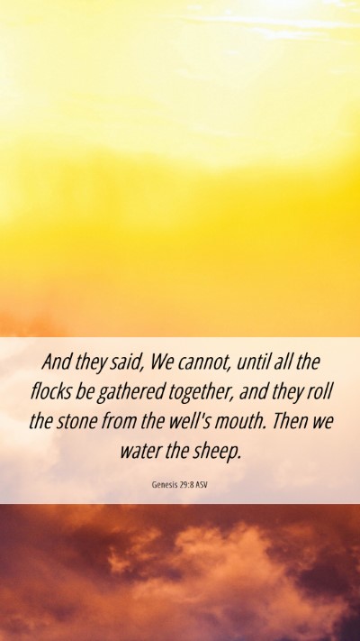 Picture 06 - Genesis 29:8 ASV Mobile Phone Wallpaper - And they said, We cannot, until all the flocks be - Mobile Bible Verse Wallpaper