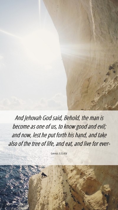 Picture 06 - Genesis 3:22 ASV Mobile Phone Wallpaper - And Jehovah God said, Behold, the man is become - Mobile Bible Verse Wallpaper