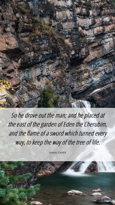 Picture 06 - Genesis 3:24 ASV Mobile Phone Wallpaper - So he drove out the man; and he placed at the - Mobile Bible Verse Wallpaper