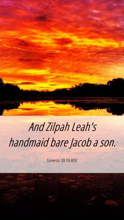 Picture 06 - Genesis 30:10 ASV Mobile Phone Wallpaper - And Zilpah Leah's handmaid bare Jacob a - Mobile Bible Verse Wallpaper