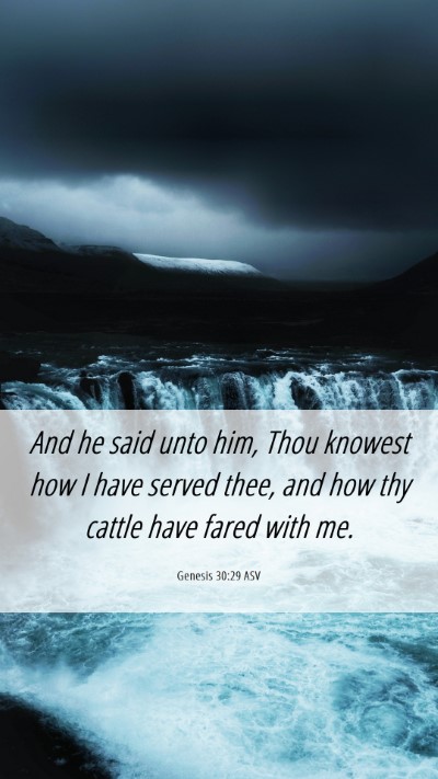 Picture 06 - Genesis 30:29 ASV Mobile Phone Wallpaper - And he said unto him, Thou knowest how I have - Mobile Bible Verse Wallpaper