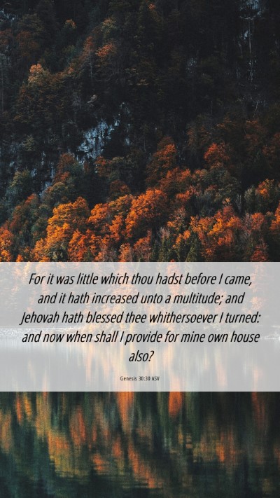 Picture 06 - Genesis 30:30 ASV Mobile Phone Wallpaper - For it was little which thou hadst before I came, - Mobile Bible Verse Wallpaper