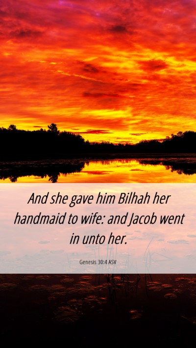 Picture 06 - Genesis 30:4 ASV Mobile Phone Wallpaper - And she gave him Bilhah her handmaid to wife: and - Mobile Bible Verse Wallpaper