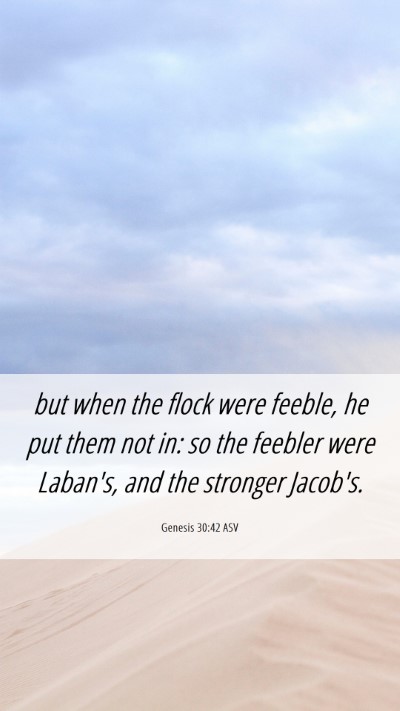 Picture 06 - Genesis 30:42 ASV Mobile Phone Wallpaper - but when the flock were feeble, he put them not - Mobile Bible Verse Wallpaper