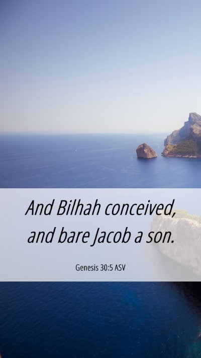 Picture 06 - Genesis 30:5 ASV Mobile Phone Wallpaper - And Bilhah conceived, and bare Jacob a - Mobile Bible Verse Wallpaper