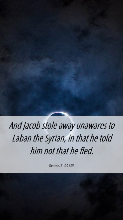 Picture 06 - Genesis 31:20 ASV Mobile Phone Wallpaper - And Jacob stole away unawares to Laban the - Mobile Bible Verse Wallpaper