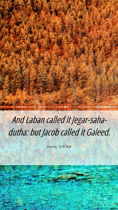 Picture 06 - Genesis 31:47 ASV Mobile Phone Wallpaper - And Laban called it Jegar-saha-dutha: but Jacob - Mobile Bible Verse Wallpaper