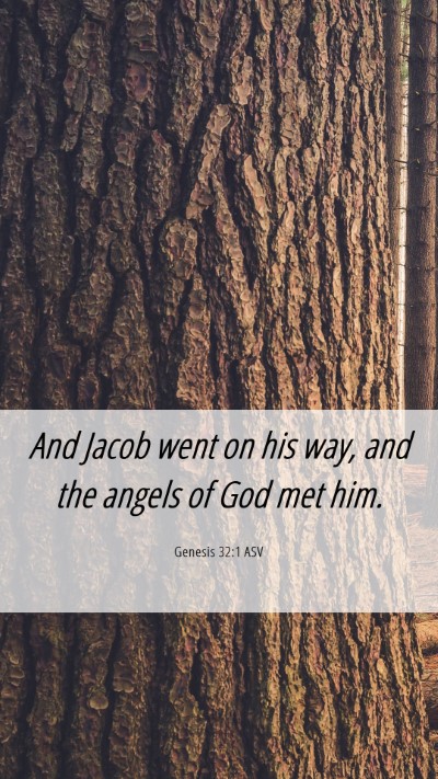 Picture 06 - Genesis 32:1 ASV Mobile Phone Wallpaper - And Jacob went on his way, and the angels of God - Mobile Bible Verse Wallpaper
