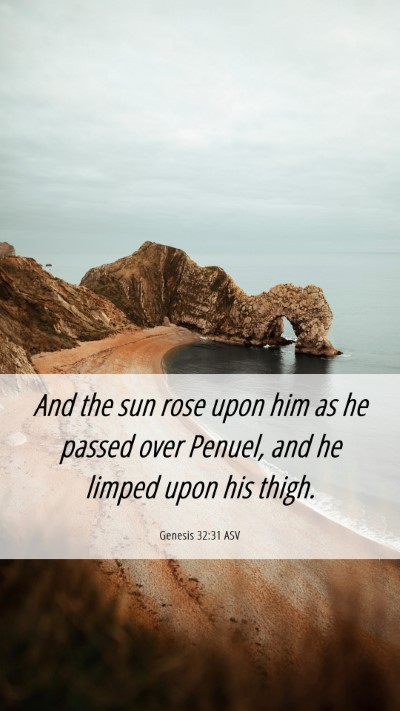 Picture 06 - Genesis 32:31 ASV Mobile Phone Wallpaper - And the sun rose upon him as he passed over - Mobile Bible Verse Wallpaper