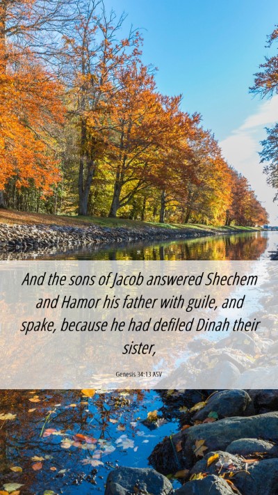 Picture 06 - Genesis 34:13 ASV Mobile Phone Wallpaper - And the sons of Jacob answered Shechem and Hamor - Mobile Bible Verse Wallpaper