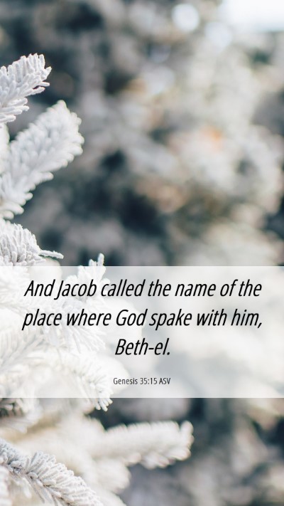 Picture 06 - Genesis 35:15 ASV Mobile Phone Wallpaper - And Jacob called the name of the place where God - Mobile Bible Verse Wallpaper