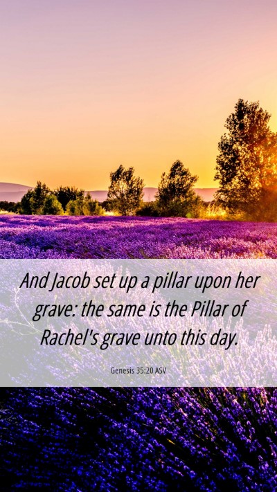 Picture 06 - Genesis 35:20 ASV Mobile Phone Wallpaper - And Jacob set up a pillar upon her grave: the - Mobile Bible Verse Wallpaper