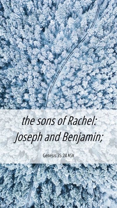 Picture 06 - Genesis 35:24 ASV Mobile Phone Wallpaper - the sons of Rachel: Joseph and - Mobile Bible Verse Wallpaper