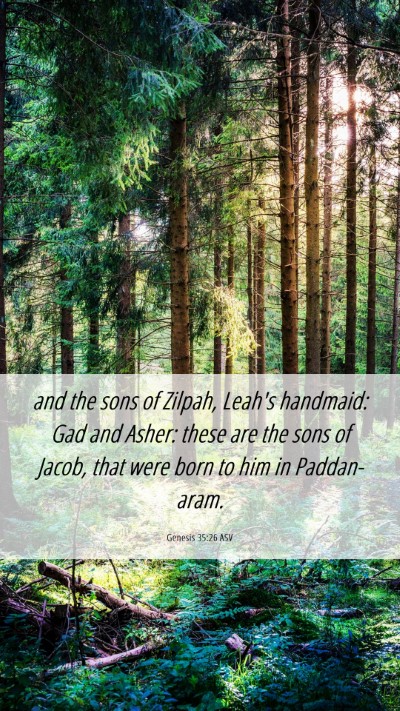 Picture 06 - Genesis 35:26 ASV Mobile Phone Wallpaper - and the sons of Zilpah, Leah's handmaid: Gad and - Mobile Bible Verse Wallpaper