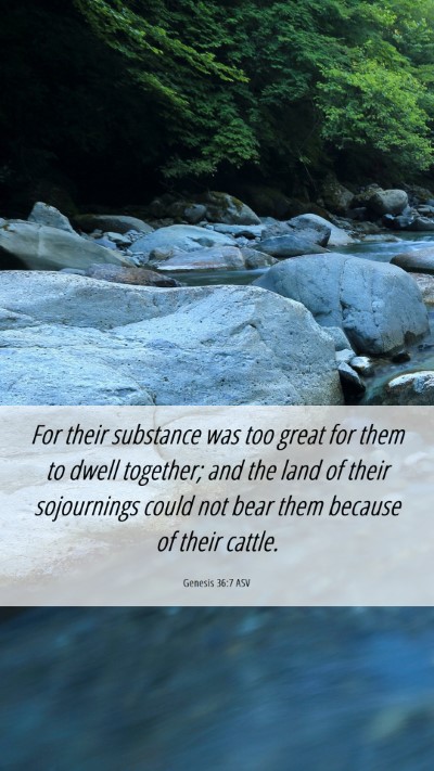Picture 06 - Genesis 36:7 ASV Mobile Phone Wallpaper - For their substance was too great for them to - Mobile Bible Verse Wallpaper
