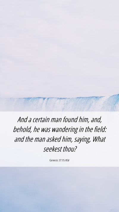 Picture 06 - Genesis 37:15 ASV Mobile Phone Wallpaper - And a certain man found him, and, behold, he was - Mobile Bible Verse Wallpaper