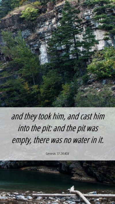 Picture 06 - Genesis 37:24 ASV Mobile Phone Wallpaper - and they took him, and cast him into the pit: and - Mobile Bible Verse Wallpaper