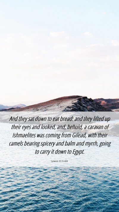 Picture 06 - Genesis 37:25 ASV Mobile Phone Wallpaper - And they sat down to eat bread: and they lifted - Mobile Bible Verse Wallpaper
