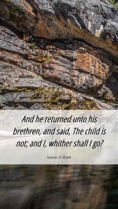 Picture 06 - Genesis 37:30 ASV Mobile Phone Wallpaper - And he returned unto his brethren, and said, The - Mobile Bible Verse Wallpaper