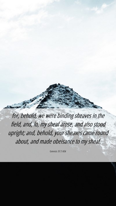 Picture 06 - Genesis 37:7 ASV Mobile Phone Wallpaper - for, behold, we were binding sheaves in the - Mobile Bible Verse Wallpaper