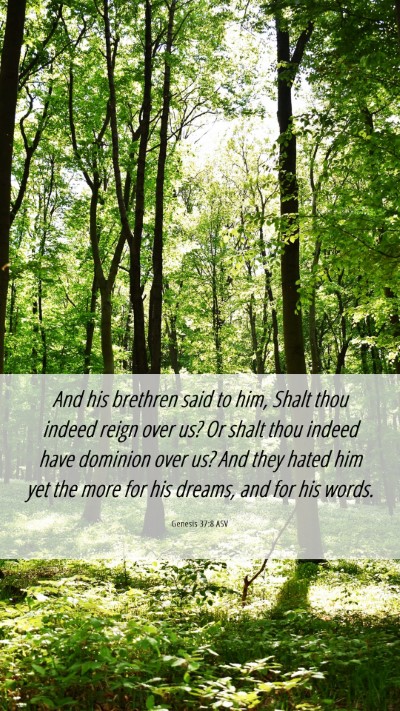 Picture 06 - Genesis 37:8 ASV Mobile Phone Wallpaper - And his brethren said to him, Shalt thou indeed - Mobile Bible Verse Wallpaper