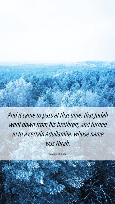 Picture 06 - Genesis 38:1 ASV Mobile Phone Wallpaper - And it came to pass at that time, that Judah went - Mobile Bible Verse Wallpaper
