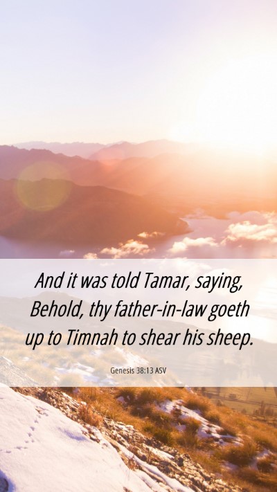 Picture 06 - Genesis 38:13 ASV Mobile Phone Wallpaper - And it was told Tamar, saying, Behold, thy - Mobile Bible Verse Wallpaper