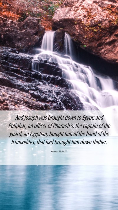 Picture 06 - Genesis 39:1 ASV Mobile Phone Wallpaper - And Joseph was brought down to Egypt; and - Mobile Bible Verse Wallpaper