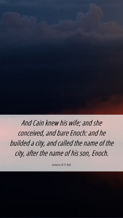 Picture 06 - Genesis 4:17 ASV Mobile Phone Wallpaper - And Cain knew his wife; and she conceived, and - Mobile Bible Verse Wallpaper